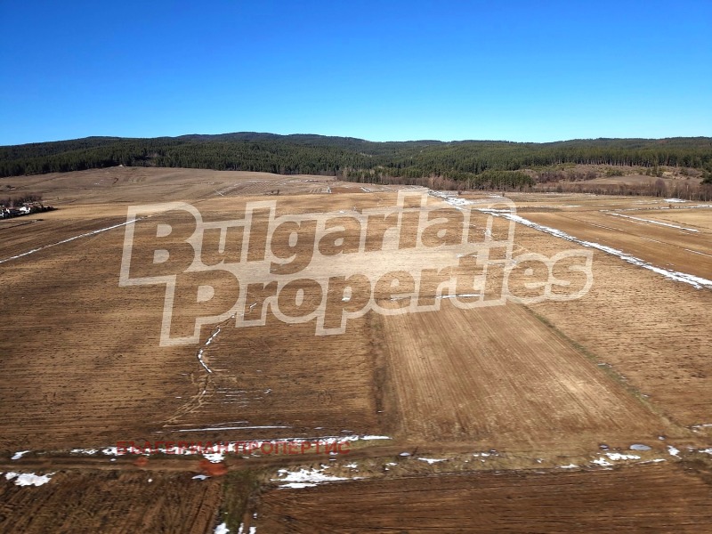 Продава ЗЕМЕДЕЛСКА ЗЕМЯ, с. Рельово, област София област, снимка 2 - Земеделска земя - 53371280