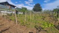 Продава ВИЛА, гр. Сопот, област Пловдив, снимка 3