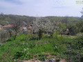 Продава ПАРЦЕЛ, гр. Монтана, Мала Кутловица, снимка 1