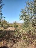Продава КЪЩА, област Пазарджик, с. Памидово • 33000 лв. / 16872.63 € • 65838285 5