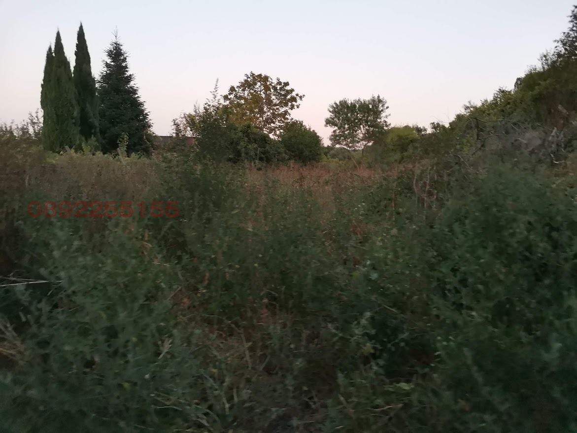 ������� ������ | Imot.bg � ����������� 2