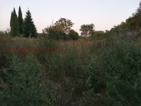 ������� ������ | Imot.bg � ����� ������ 2