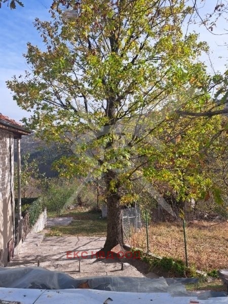 Til salg  Hus region Plovdiv , Vrata , 170 kvm | 76171597 - billede [6]