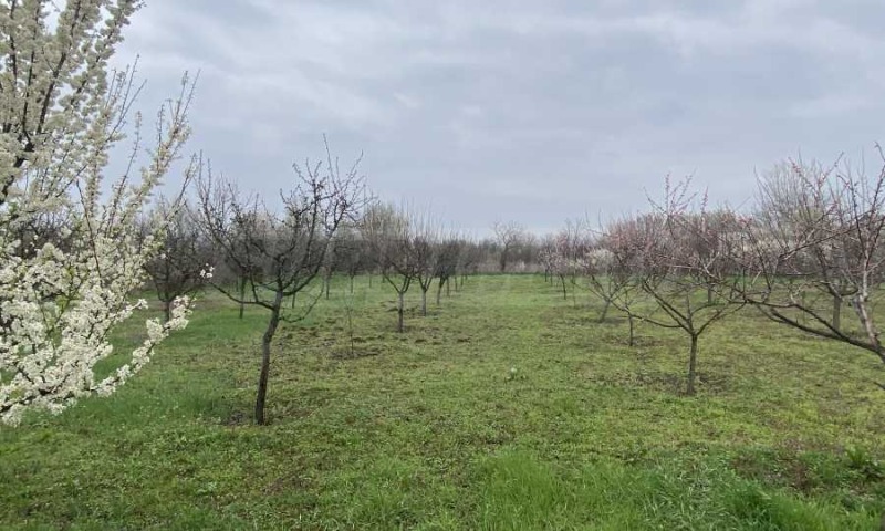 Продава КЪЩА, с. Капитановци, област Видин, снимка 6 - Къщи - 52415765