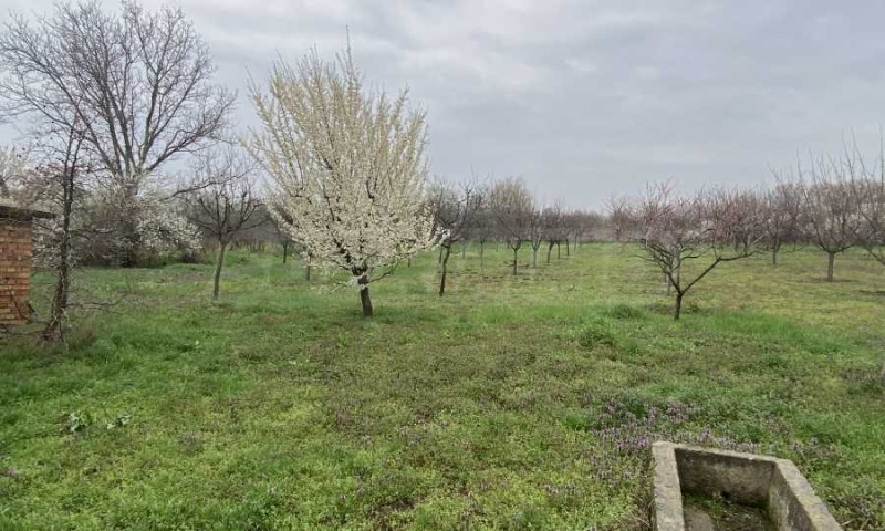 Продава КЪЩА, с. Капитановци, област Видин, снимка 5 - Къщи - 52415765