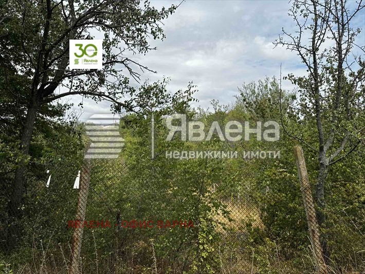 Te koop  Verhaallijn regio Varna , Dobrogled , 1500 m² | 85422320 - afbeelding [5]