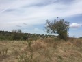 Продава ПАРЦЕЛ, с. Табачка, област Русе, снимка 2