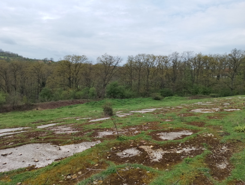 In vendita  Terra regione Varna , Solnik , 9 dka | 47340799 - Immagine [5]
