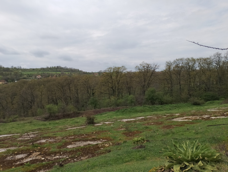 In vendita  Terra regione Varna , Solnik , 9 dka | 47340799