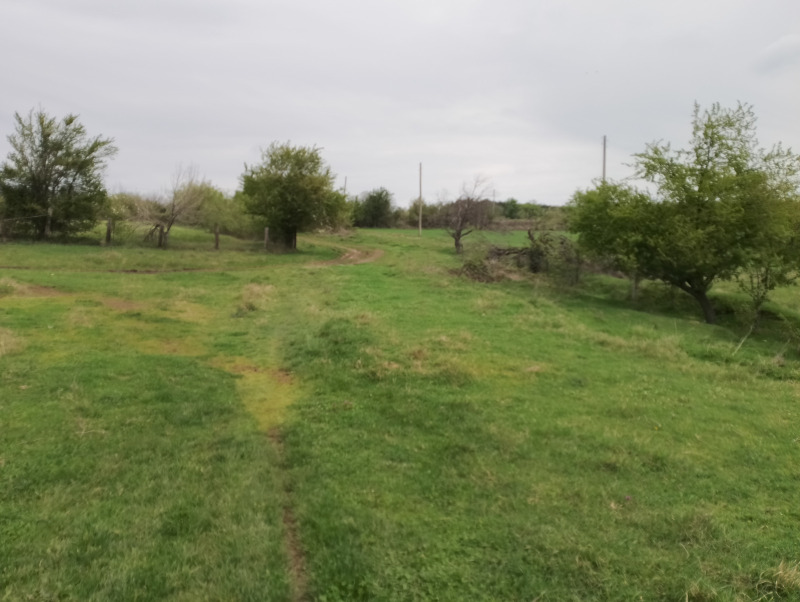 In vendita  Terra regione Varna , Solnik , 9 dka | 47340799 - Immagine [6]