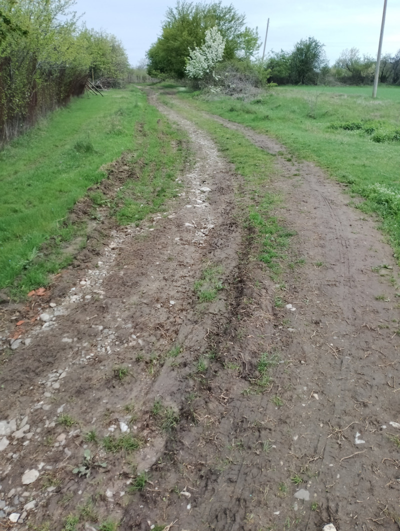 In vendita  Terra regione Varna , Solnik , 9 dka | 47340799 - Immagine [12]