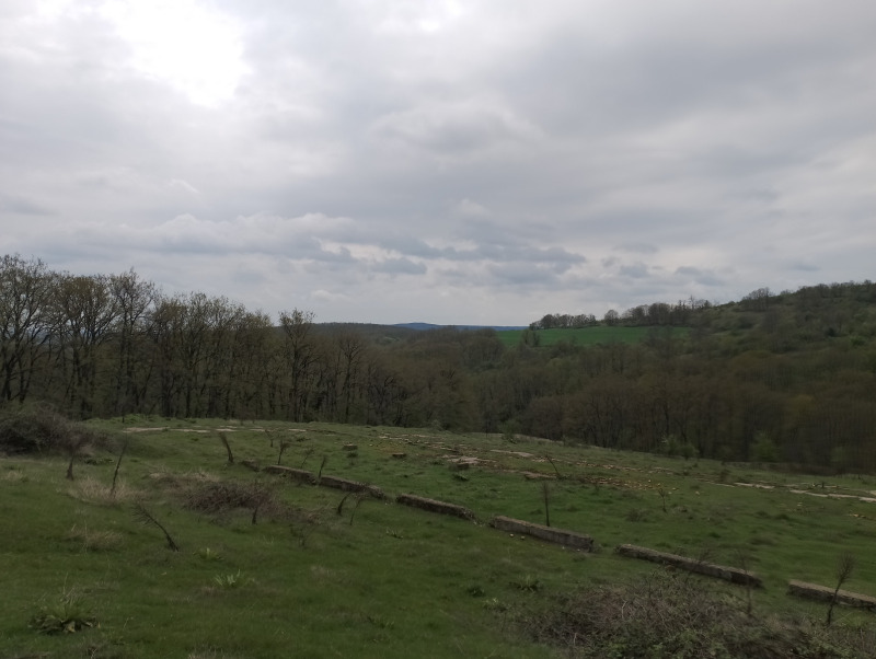 In vendita  Terra regione Varna , Solnik , 9 dka | 47340799 - Immagine [4]