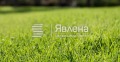 Продава ПАРЦЕЛ, област Варна, с. Ботево • 16000 € / 31293.28 лв. • 85401051 1