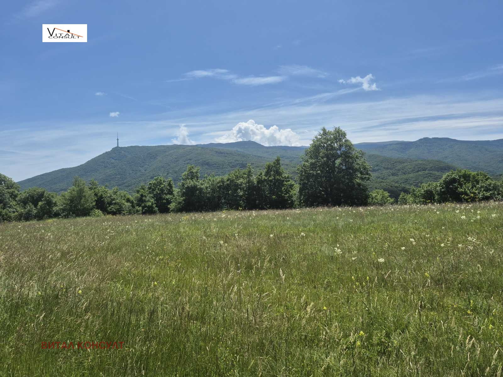 ������� ������ | Imot.bg � ����������� 4