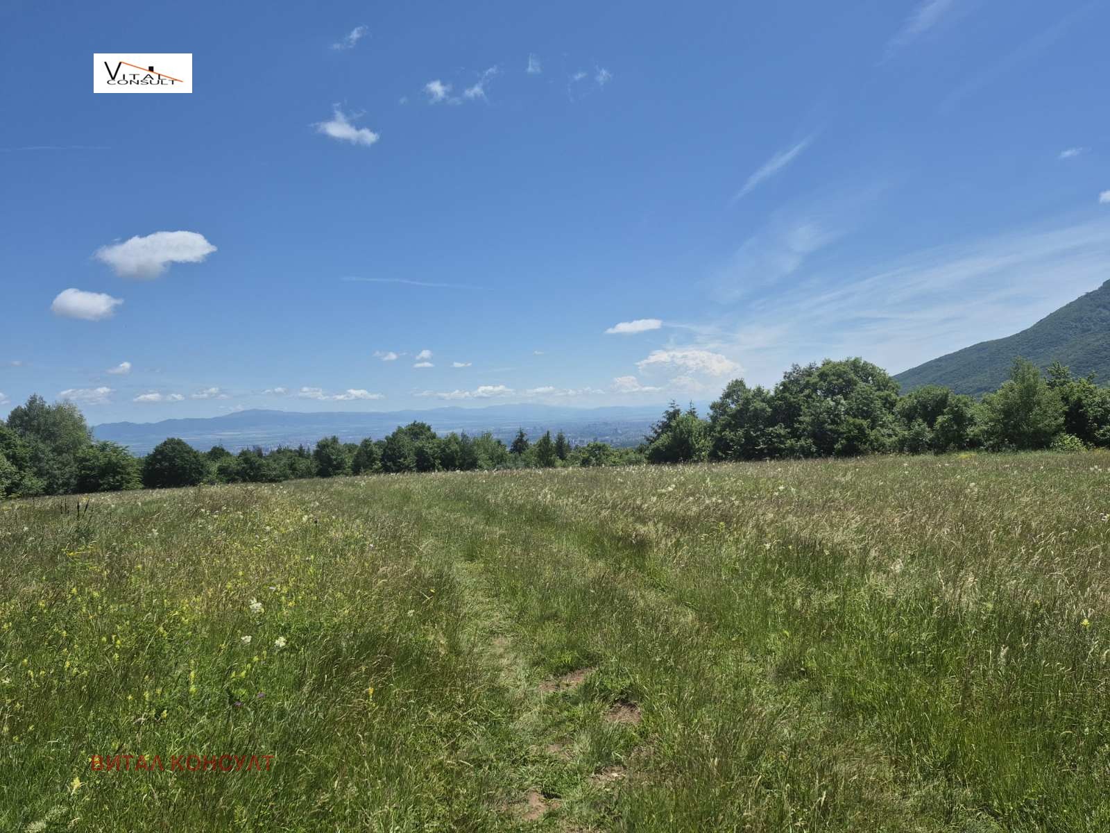 ������� ������ | Imot.bg � ����������� 7