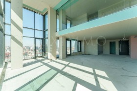 ����� ������� �������,���� �����, �������