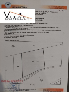 ����� ������� ������,���� �����, ����� ����