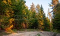 Продава ПАРЦЕЛ, гр. Батак, област Пазарджик, снимка 2