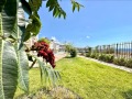 Продава 2-СТАЕН, област Бургас, гр. Свети Влас • 139000 € • 15799908 — Holmes.bg