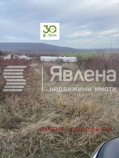 Til salg  Grund region Dobrich , Rogachevo , 1418 kvm | 23154725 - billede [2]