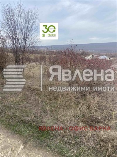 Til salg  Grund region Dobrich , Rogachevo , 1418 kvm | 23154725 - billede [3]