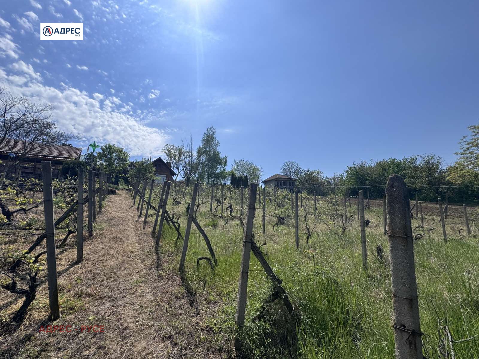 ������� ���� | Imot.bg � ����������� 11
