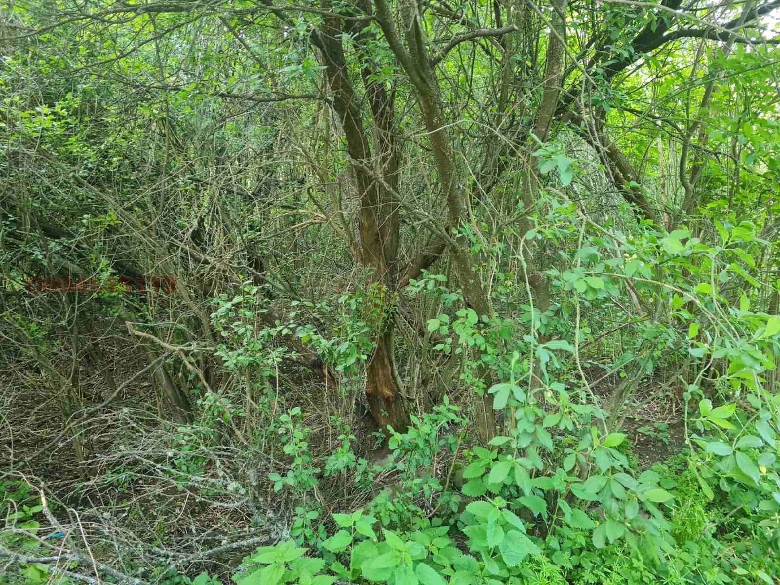 Продава ПАРЦЕЛ | Imot.bg — изображение 12