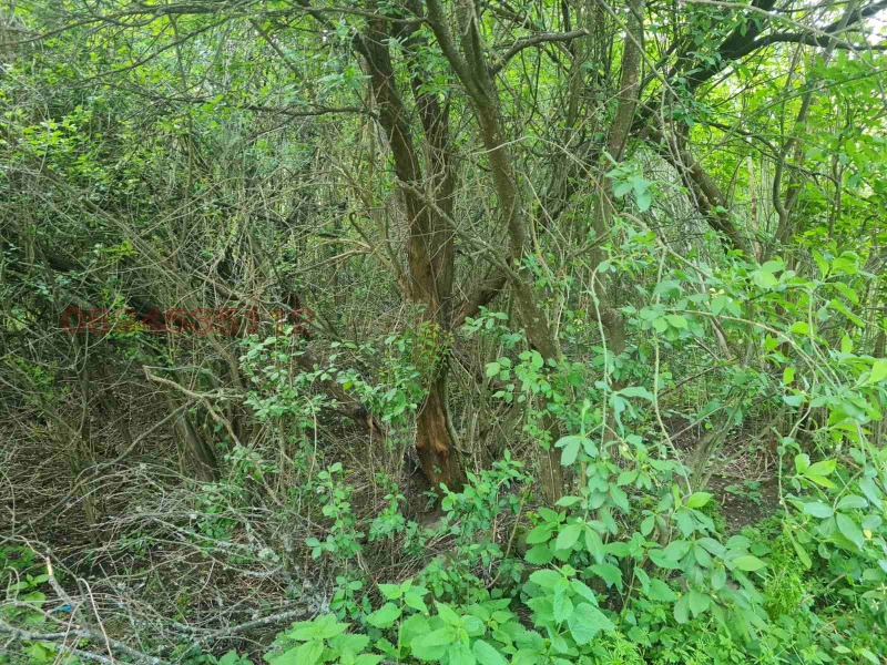 Продава ПАРЦЕЛ, гр. Брезник, област Перник, снимка 12 - Парцели - 52781422