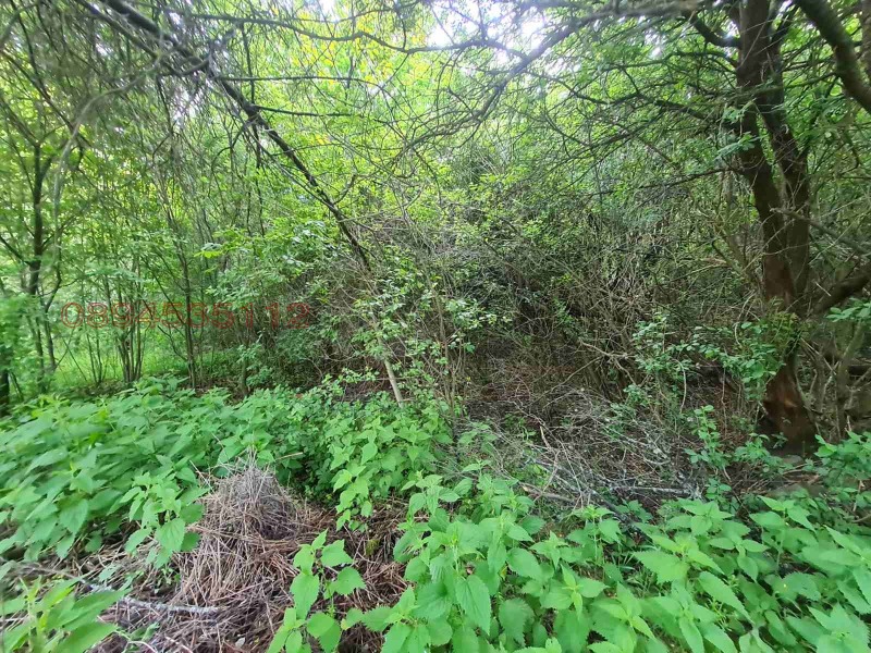 Продава ПАРЦЕЛ, гр. Брезник, област Перник, снимка 13 - Парцели - 52781422