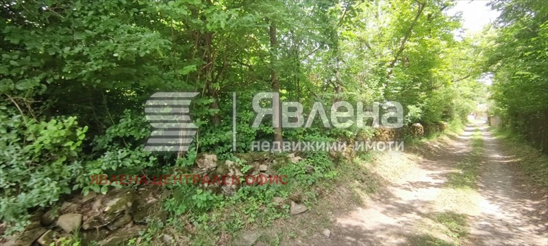 Продава ПАРЦЕЛ, с. Орешак, област Ловеч, снимка 4 - Парцели - 53425455
