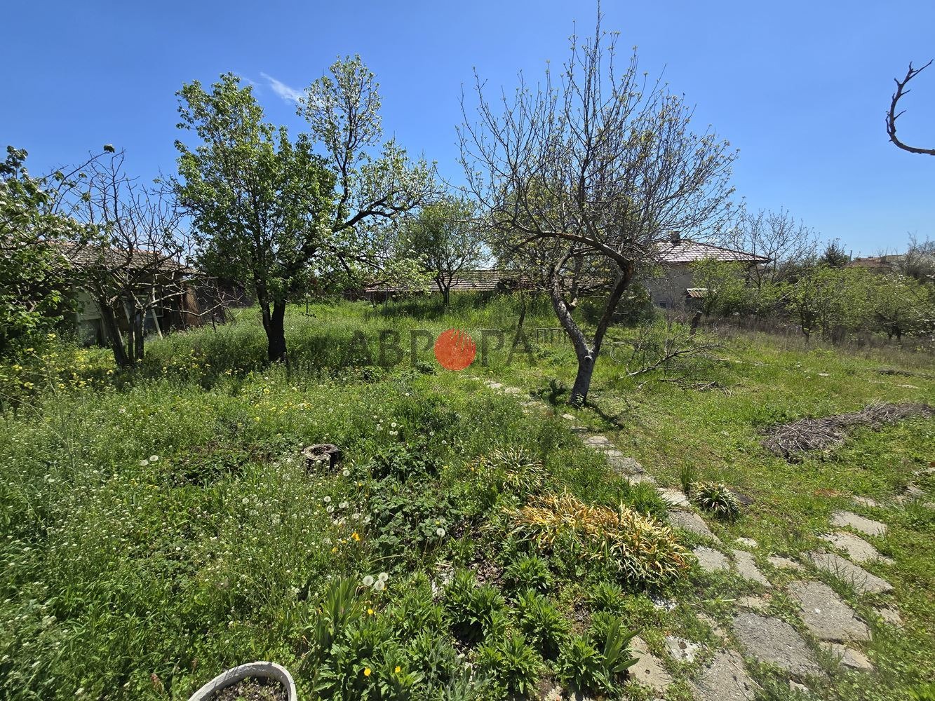 ������� ���� | Imot.bg � ����������� 13