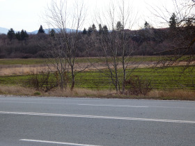 ������ ������� ������