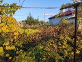 Продава КЪЩА, област Добрич, с. Стефаново • 83000 лв. / 42437.23 € • 86799199 11