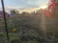 Продава КЪЩА, област Добрич, с. Стефаново • 83000 лв. / 42437.23 € • 86799199 12