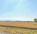 Продава  Парцел град София , с. Бусманци , 9808 кв.м | 40600235 - изображение [4]