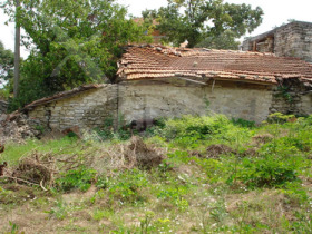 Плот Кранево, регион Добрицх