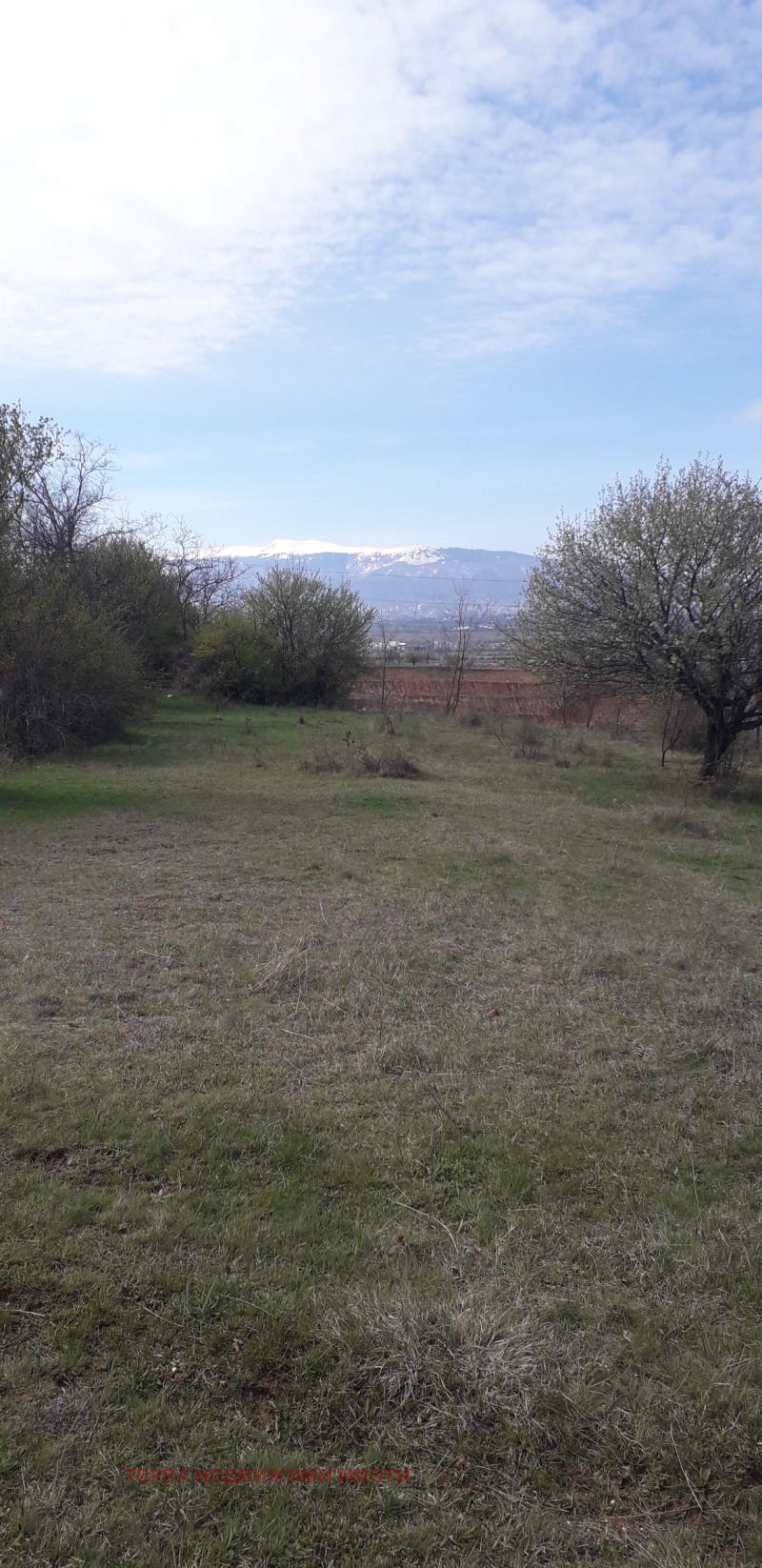 Na sprzedaż  Działka Sofia , Podgumer , 466 mkw | 76500458 - obraz [2]