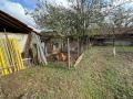Продава КЪЩА, с. Церова кория, област Велико Търново, снимка 3