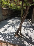 Продава КЪЩА, с. Загоре, област Стара Загора, снимка 8