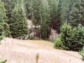 Продава ПАРЦЕЛ, област Смолян, гр. Чепеларе • по договаряне • 41378093 4