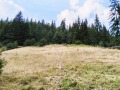 Продава ПАРЦЕЛ, област Смолян, гр. Чепеларе • по договаряне • 41378093 3