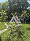 Продава ПАРЦЕЛ, област София, гр. Правец • 139900 € / 273620.62 лв. • 97487283 6