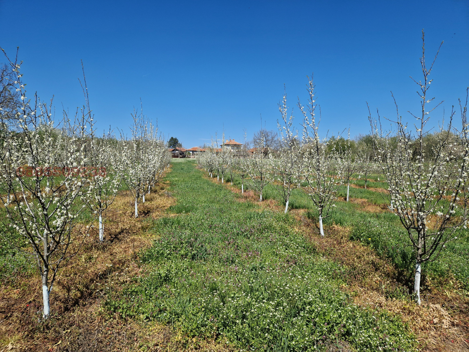 ������� ���������� ���� | Imot.bg � ����������� 7