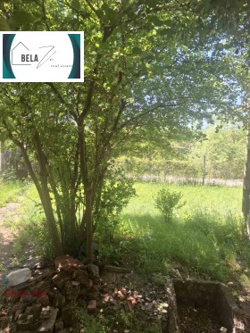 ������� ���� | Imot.bg � ����� ������ 12
