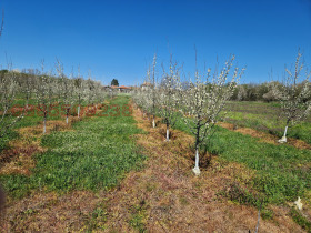 ������� ���������� ���� | Imot.bg � ����� ������ 6