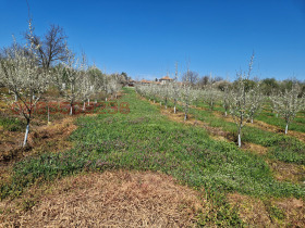 ������� ���������� ���� | Imot.bg � ����� ������ 9