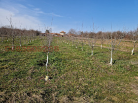 ������� ���������� ���� | Imot.bg � ����� ������ 3