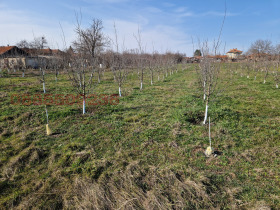 ������� ���������� ���� | Imot.bg � ����� ������ 2