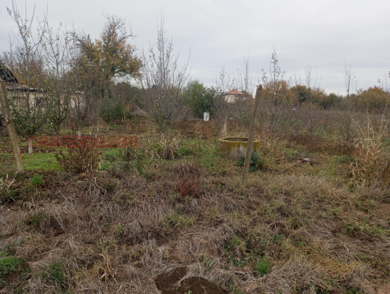 Продава ЗЕМЕДЕЛСКА ЗЕМЯ, гр. Долна Оряховица, област Велико Търново, снимка 7 - Земеделска земя - 52770125