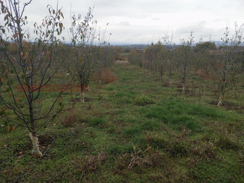 Продава ЗЕМЕДЕЛСКА ЗЕМЯ, гр. Долна Оряховица, област Велико Търново, снимка 5 - Земеделска земя - 52770125